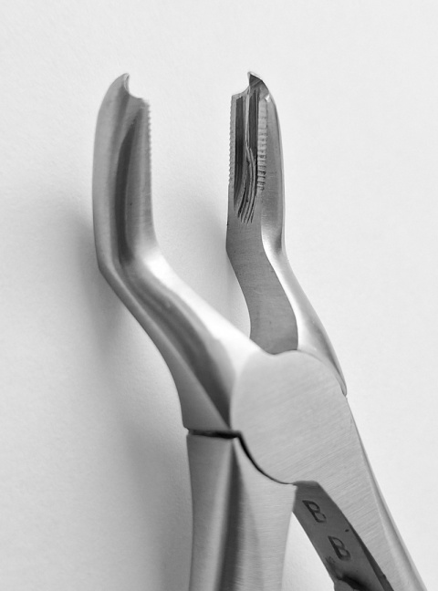 Kleszcze Berten do zębów mlecznych, górne trzonowce, 12 cm.